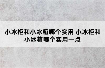 小冰柜和小冰箱哪个实用 小冰柜和小冰箱哪个实用一点